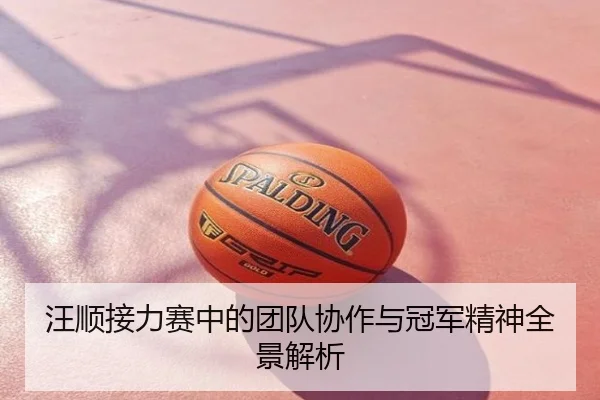 汪顺接力赛中的团队协作与冠军精神全景解析