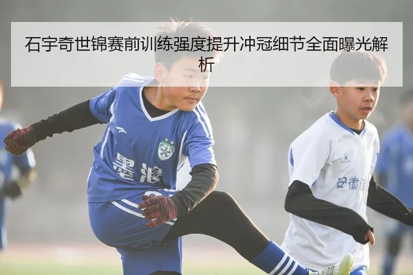 石宇奇世锦赛前训练强度提升冲冠细节全面曝光解析